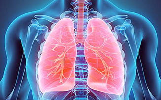 Lung image
